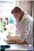 LCFAIR14-0360.jpg