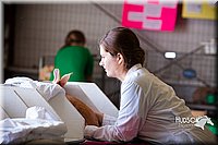 LCFAIR14-0373.jpg