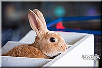LCFAIR14-0390.jpg