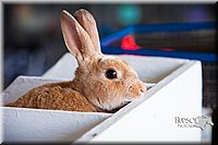 LCFAIR14-0391.jpg