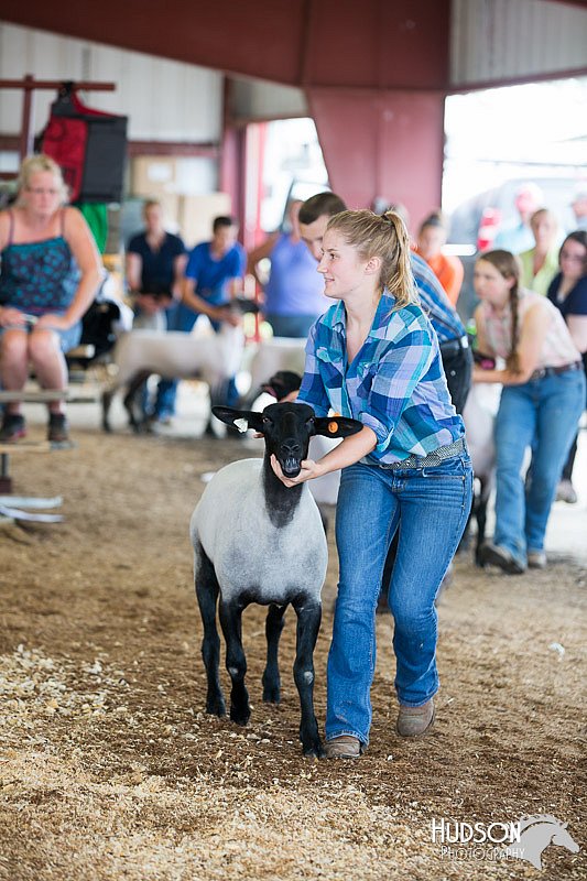 LCFAIR14-1518.jpg