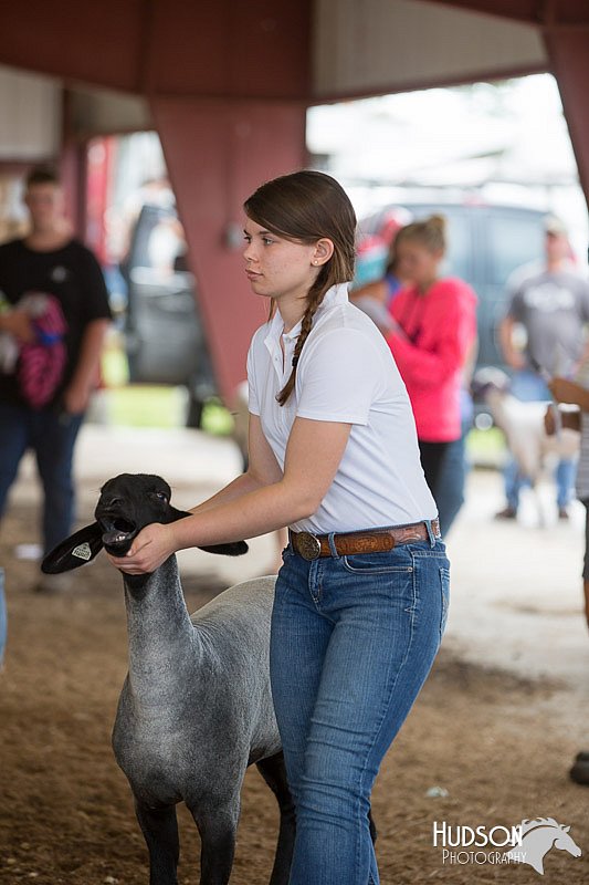 LCFAIR14-1528.jpg