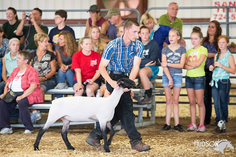 LCFAIR14-1529.jpg