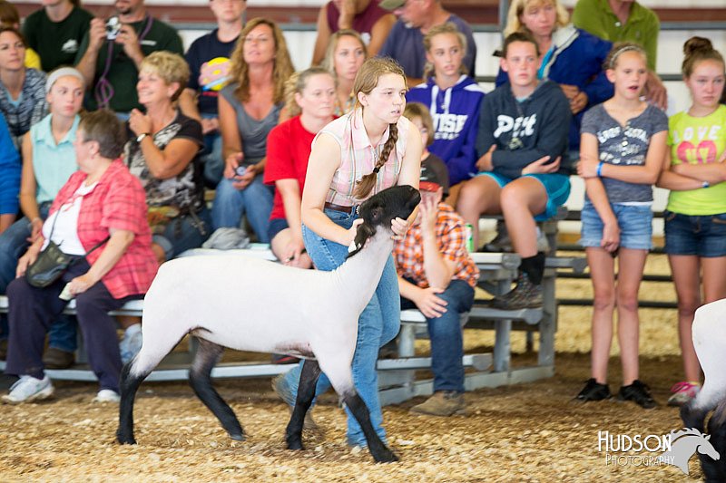 LCFAIR14-1530.jpg