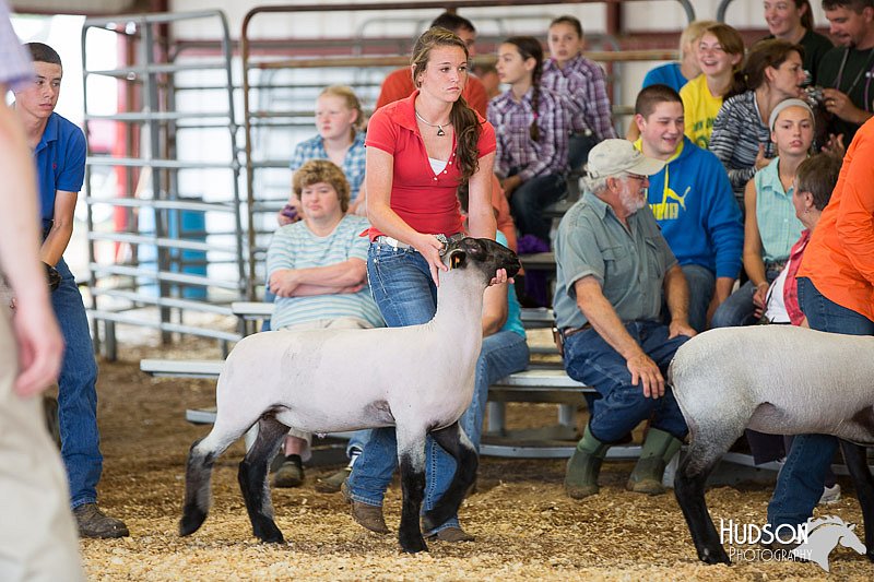 LCFAIR14-1534.jpg