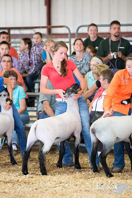 LCFAIR14-1536.jpg