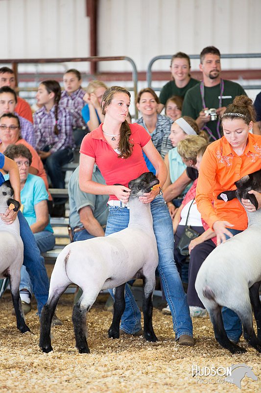 LCFAIR14-1537.jpg