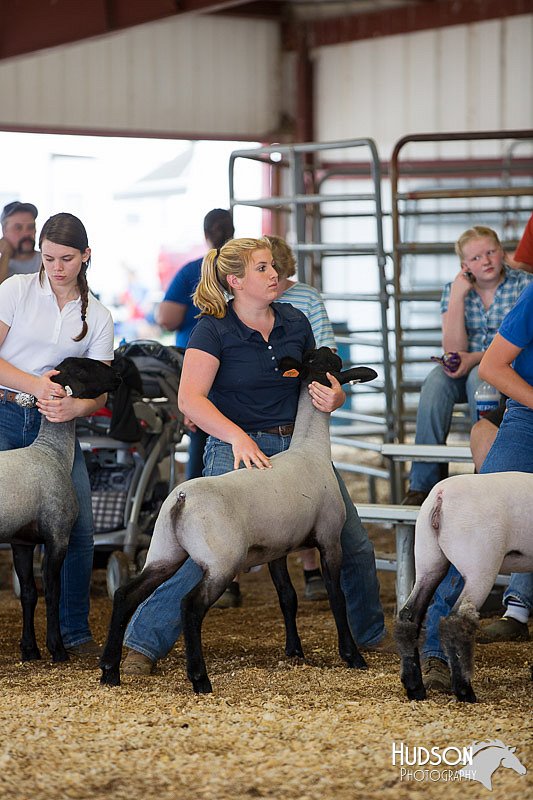 LCFAIR14-1538.jpg