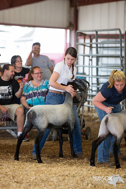 LCFAIR14-1539.jpg