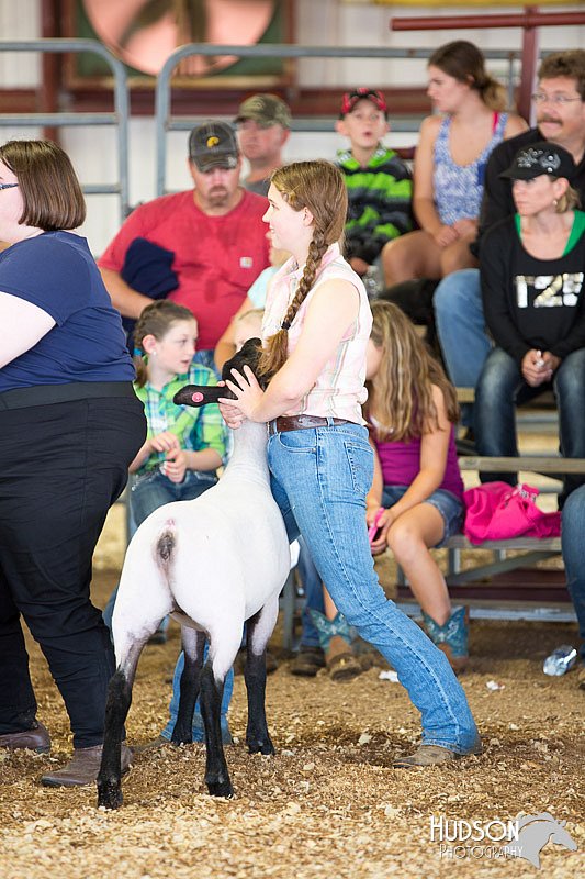 LCFAIR14-1541.jpg