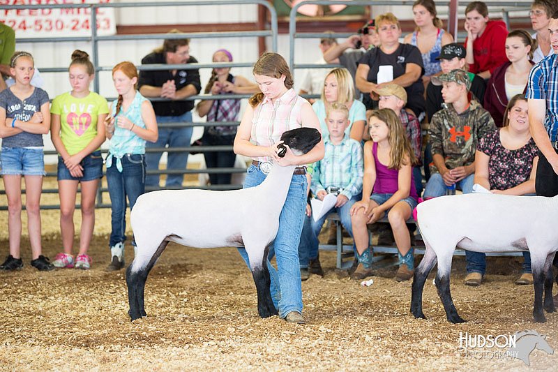 LCFAIR14-1542.jpg