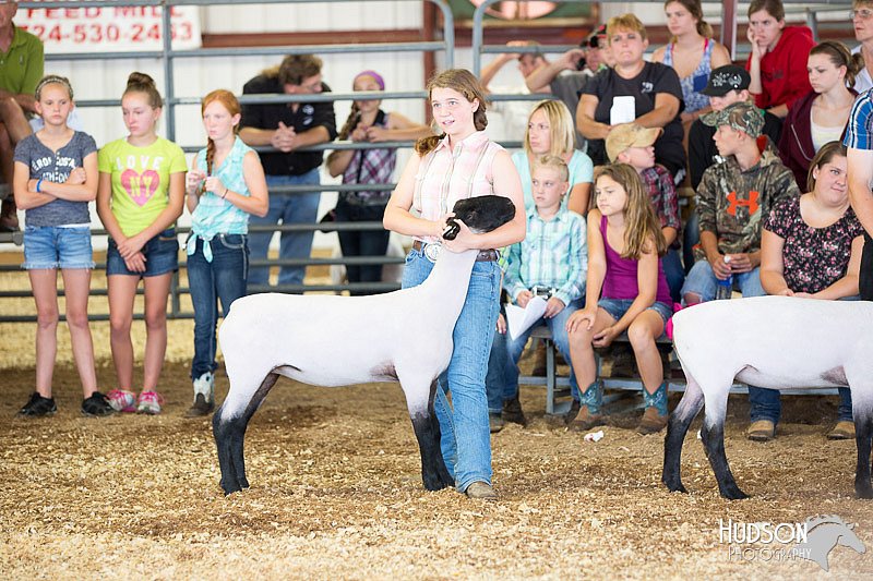 LCFAIR14-1543.jpg