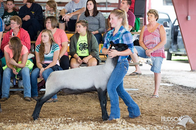LCFAIR14-1544.jpg