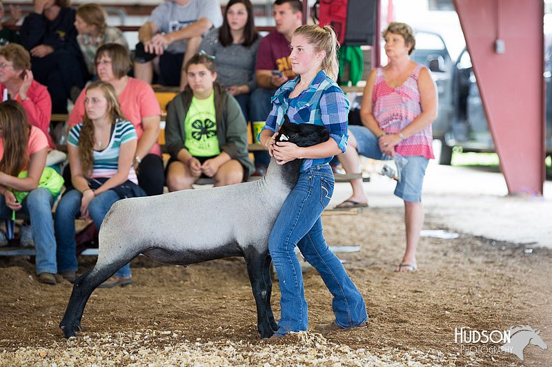 LCFAIR14-1545.jpg