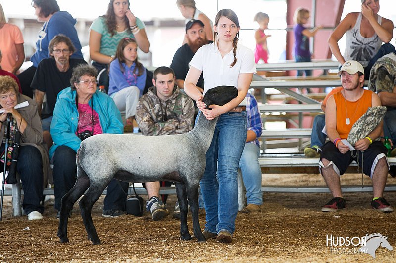 LCFAIR14-1546.jpg