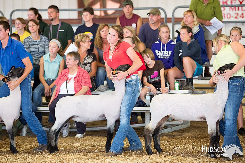 LCFAIR14-1547.jpg