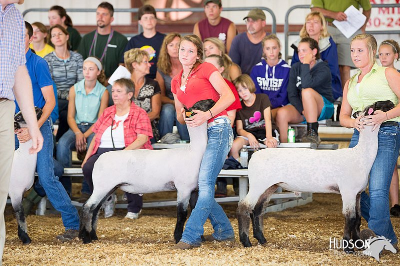 LCFAIR14-1548.jpg