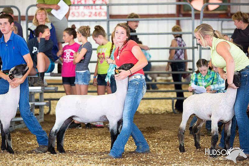 LCFAIR14-1550.jpg