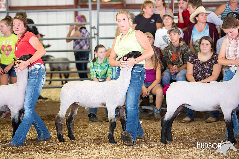 LCFAIR14-1551.jpg