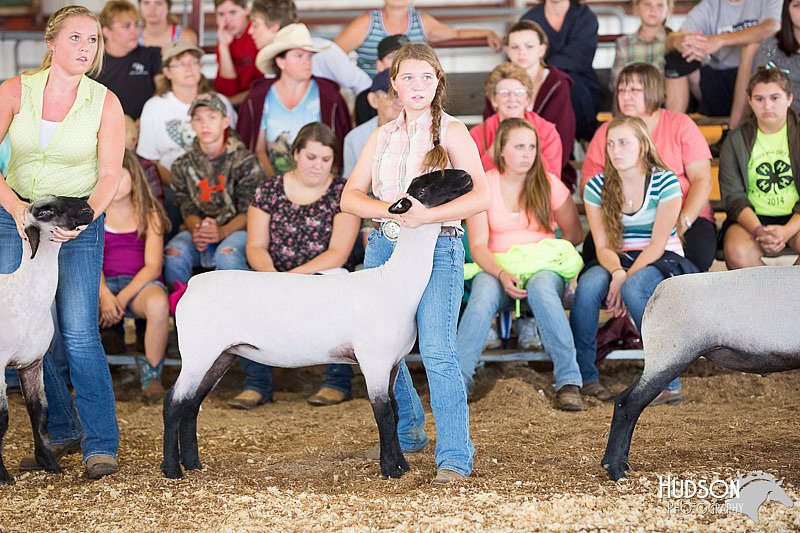 LCFAIR14-1552.jpg