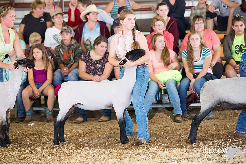 LCFAIR14-1553.jpg
