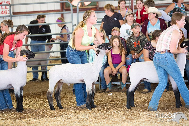 LCFAIR14-1556.jpg