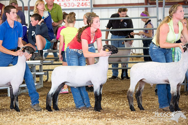 LCFAIR14-1557.jpg