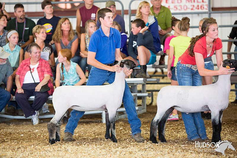 LCFAIR14-1558.jpg