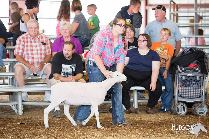 LCFAIR14-1559.jpg