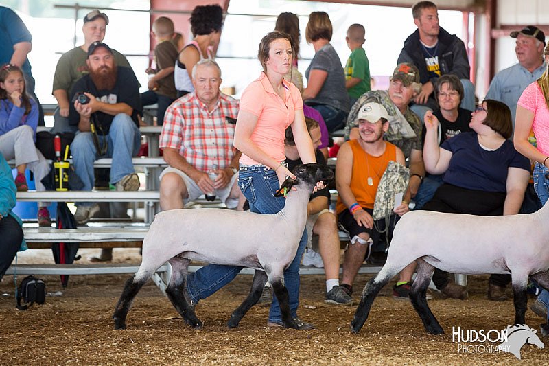 LCFAIR14-1561.jpg