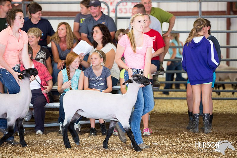 LCFAIR14-1563.jpg