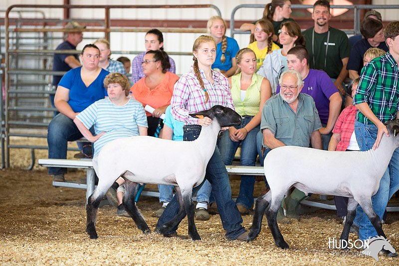 LCFAIR14-1566.jpg