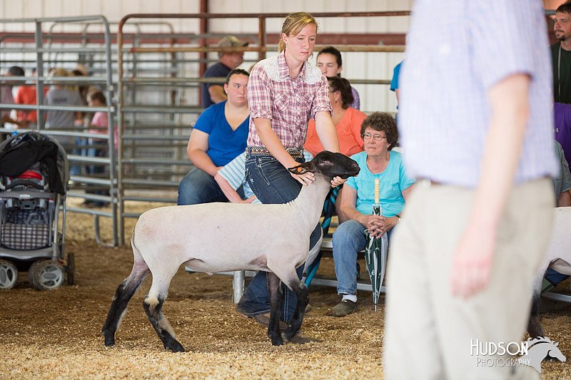 LCFAIR14-1567.jpg