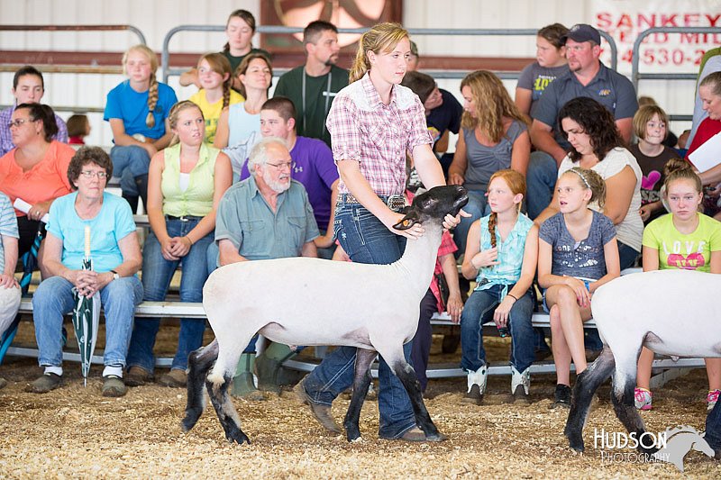 LCFAIR14-1568.jpg