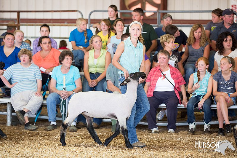 LCFAIR14-1569.jpg