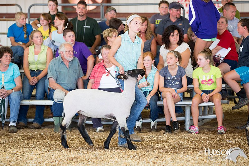LCFAIR14-1570.jpg