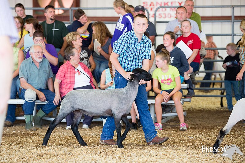 LCFAIR14-1571.jpg