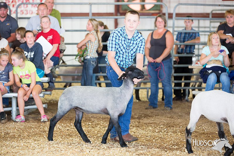 LCFAIR14-1572.jpg