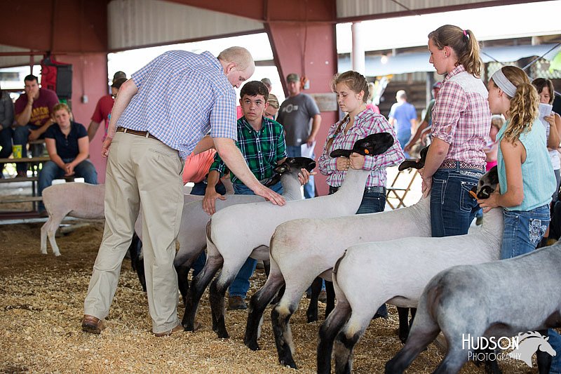 LCFAIR14-1576.jpg