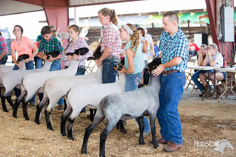 LCFAIR14-1577.jpg