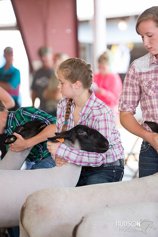 LCFAIR14-1579.jpg