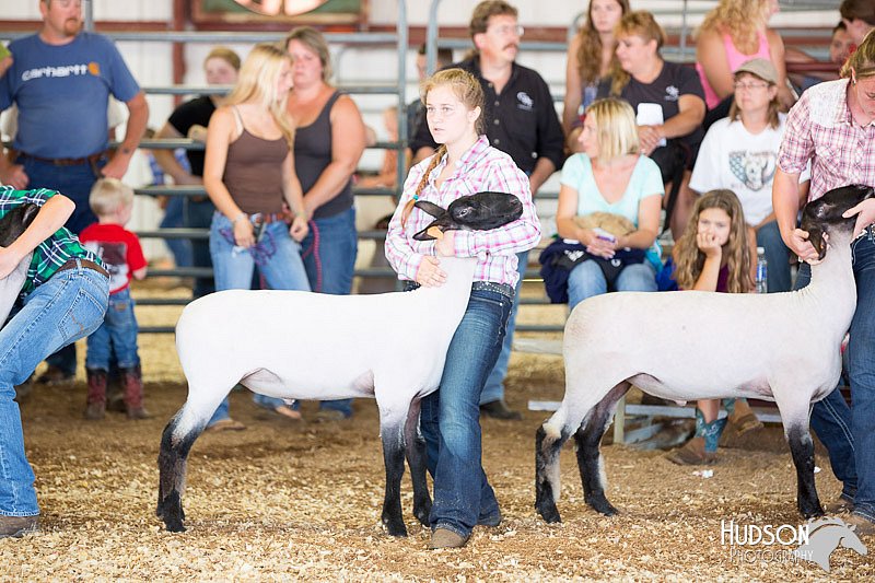 LCFAIR14-1582.jpg