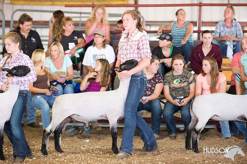 LCFAIR14-1583.jpg