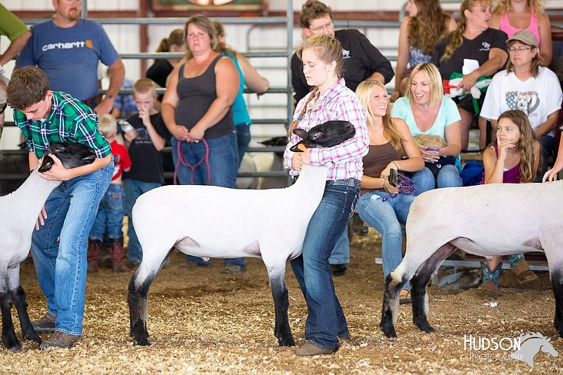 LCFAIR14-1584.jpg