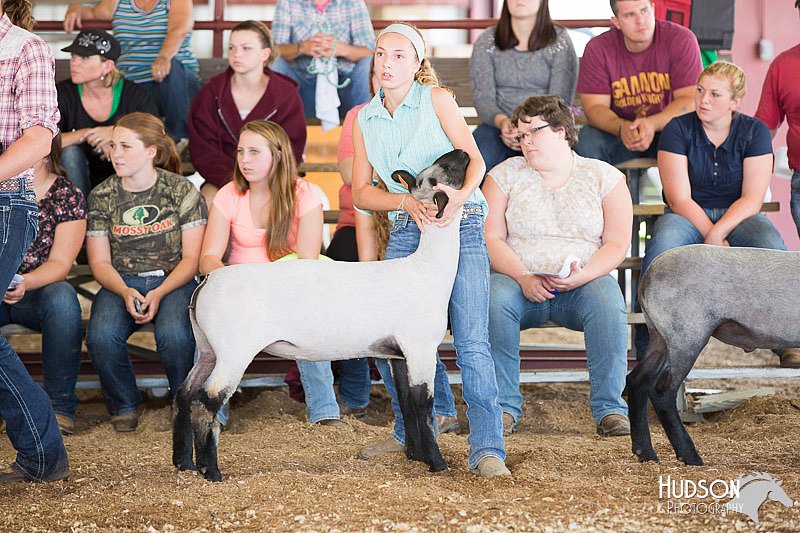LCFAIR14-1585.jpg