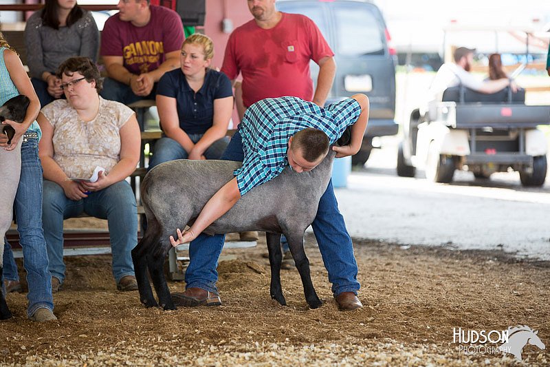 LCFAIR14-1586.jpg