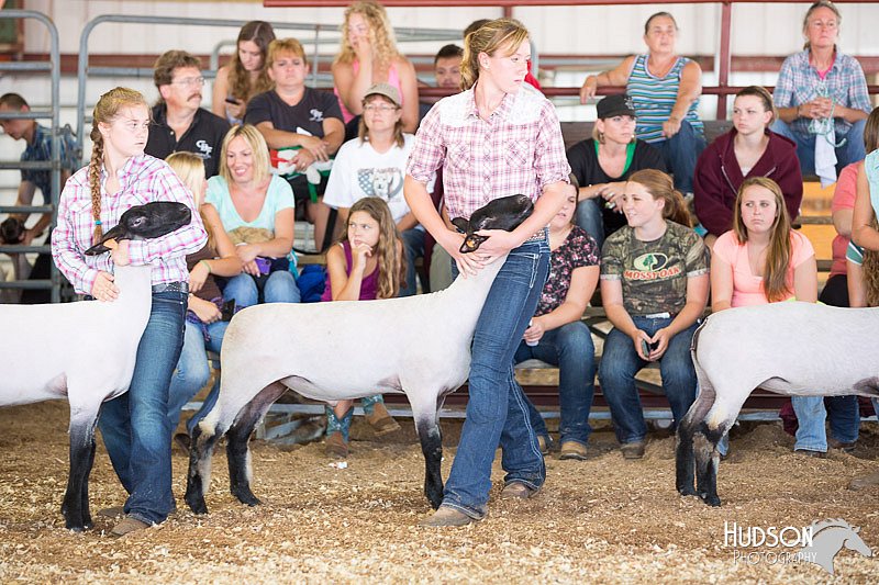LCFAIR14-1588.jpg