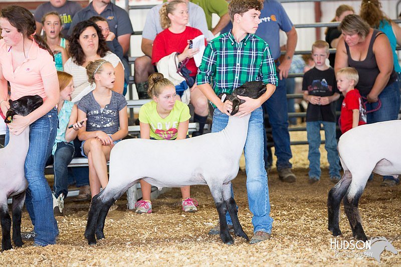 LCFAIR14-1589.jpg