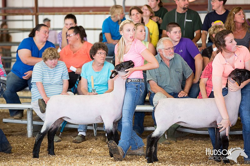 LCFAIR14-1590.jpg