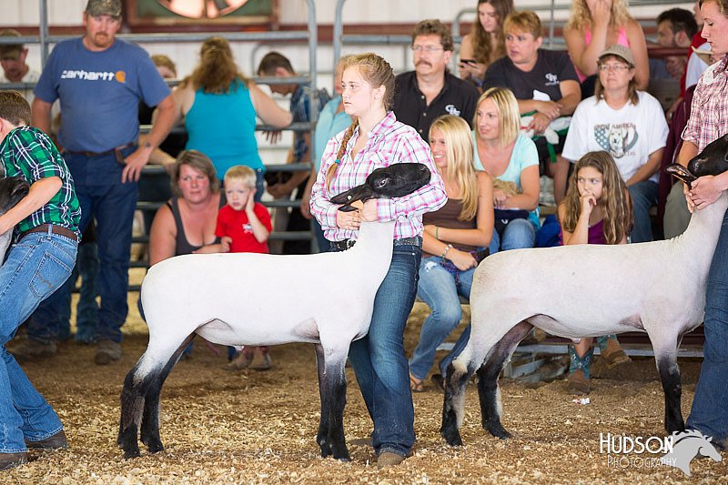 LCFAIR14-1594.jpg